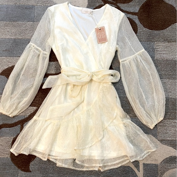 Anthropologie I Champagne and Strawberry Embossed Organza Faux Wrap Mini Dress - Picture 3 of 7